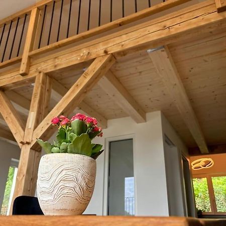 Zur Donauinsel Apartman Bad Abbach Kültér fotó