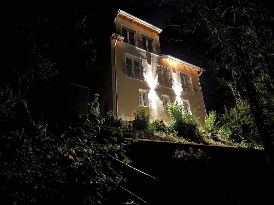 Zur Donauinsel Apartman Bad Abbach Kültér fotó