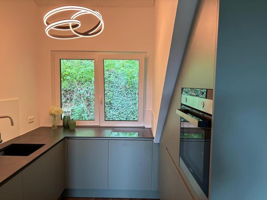Zur Donauinsel Apartman Bad Abbach Kültér fotó