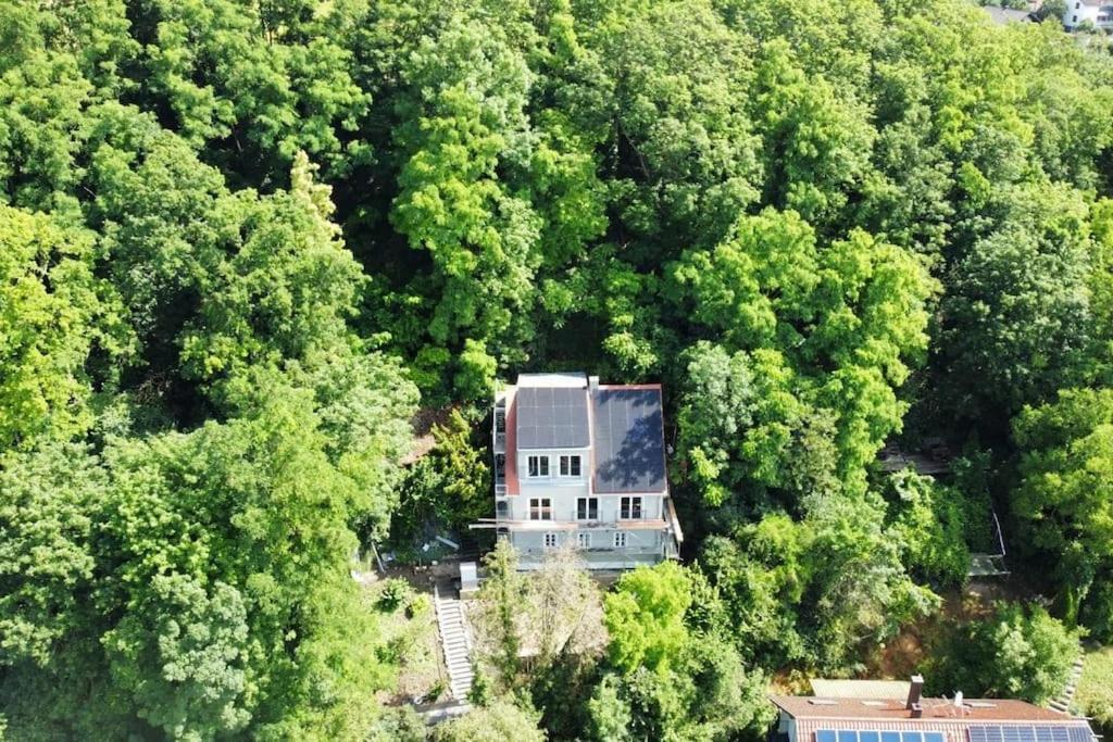 Zur Donauinsel Apartman Bad Abbach Kültér fotó